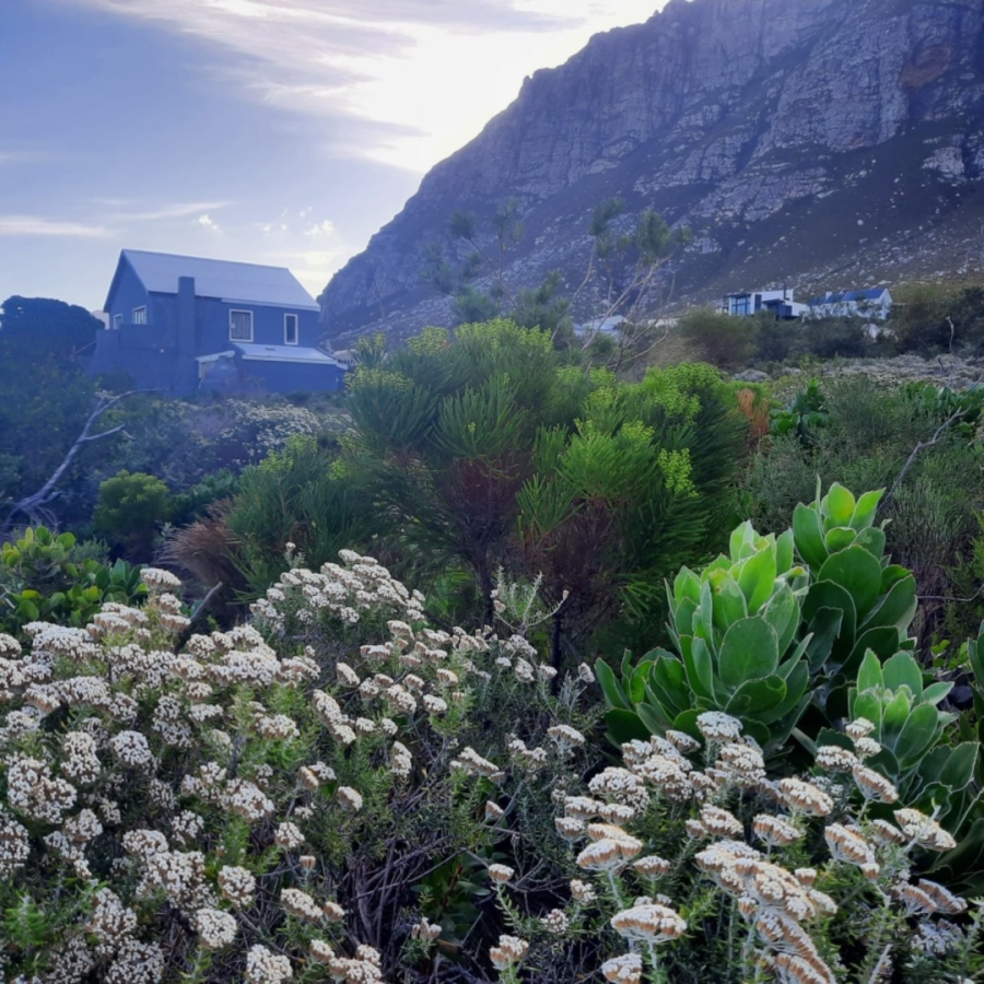 Commercial Property for Sale in Bettys Bay Western Cape